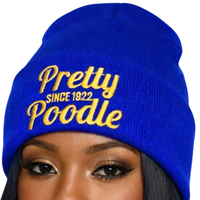 Joli bonnet bleu Poodle pour femme, bonnet tricoté brodé, chaud pour l'hiver, décontracté et élégant