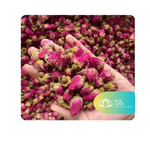 [HIGH QUALITY] l Dried Rose Bud Tea for Herbal Tea Preparation and Floral Beverage Applications Vietnam - Product Image 1