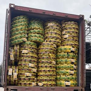 Neumático Agrícola KUMA KN108 Diseño Diagonal Hecho en Vietnam Tamaños 12.4-24 14.9-28 18.4-30 18.4-30 18.4-34 13.6-36 - Product Image 3