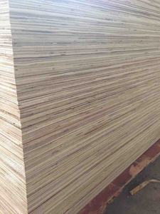 FOMEX GREENWOOD Bintangor Face Contreplaqué Modèle COMMERCIAL CONTREPLAQUÉ Durable pour l'utilisation de meubles commerciaux 4-30mm d'épaisseur 1220 X - Product Image 6