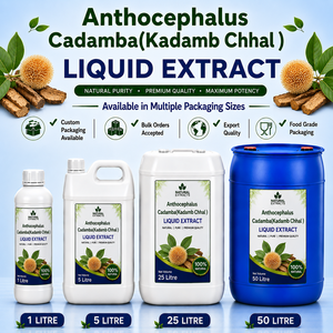 Anthocephalus Cadamba Liquid Extract Kadamb Chhal <b>Herbal</b> <b>Supplement</b> Natural Food Grade Bulk Packaging - Product Image 1