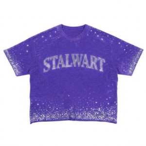 เสื้อยืดพิมพ์ลายกราฟิกประดับคริสตัล แบรนด์ Stalwart ทรงโอเวอร์ไซส์ แขนสั้น คอโอ ผ้าถัก สำหรับผู้ชาย ความยาวปกติ สไตล์ทางการ - Product Image 2