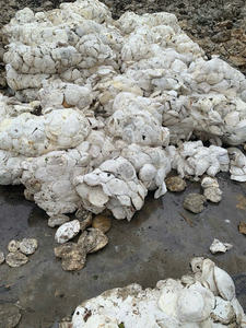 Trozo de copa de látex Baiyue Premium Vietnam HA | Retardante de llama de grado médico | Rendimiento de moldeo superior a valor competitivo - Product Image 6