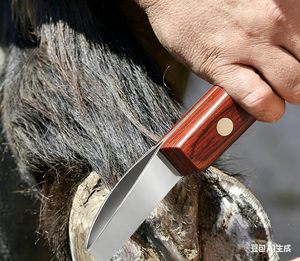 Cuchillo Profesional de Doble Hoja para Pezuñas de Caballo, Herramientas de Herrador de Acero Inoxidable Ultra Afiladas con Mango Ergonómico Antideslizante - Product Image 6