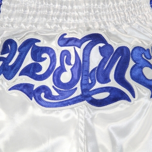Factory Wholesale Muay Thai Shorts Comfortable Kickboxing Shorts for Men and Women Fully Sublimated Boxing Fight Shorts - Product Image 5