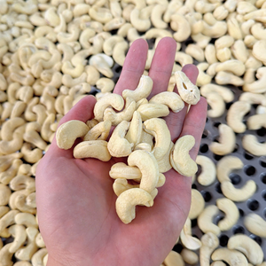 Private Label Packaging Cashew <b>Nuts</b> Kaju Badam SANTIGO Cashew Kaju <b>Nuts</b> First Quality - Product Image 6