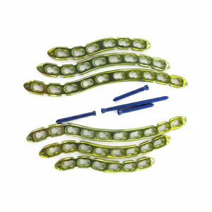 Placa de Bloqueo Anterior Clävcle con 6, 8 y 10 Orificios y Tornillo de 3.5mm de Titanio (58 Piezas) - Product Image 1