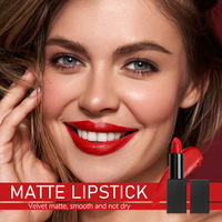 Coffret de 24 rouges à lèvres mats veloutés populaires sous marque privée – Couleur longue tenue, non desséchante, veloutée, couvrance totale, végétalien et minéral