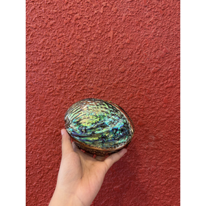 จานเปลือกหอยทรงกลมลายสลักสำหรับใส่แหวน กล่องโชว์เครื่องประดับ ของขวัญ และของตกแต่งจากเวียดนาม - Product Image 3