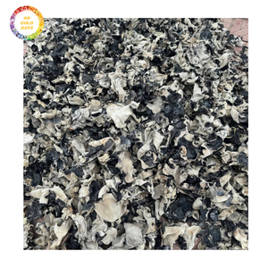 Hongo de la oreja para el mercado mayorista con secado uniforme y costo asequible - Product Image 1