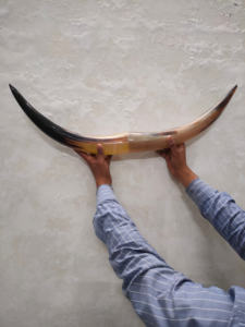 ของตกแต่งผนังทำจากเขาควายขัดเงา งานแฮนด์เมดจากอินเดีย ขายส่งจำนวนมากในราคาขายส่ง - Product Image 2