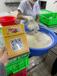 HIGH GRADE IQF FROZEN SOURSOP FRUIT BULK SUPPLY FOR INTERNATIONAL MARKET - Product Image 3