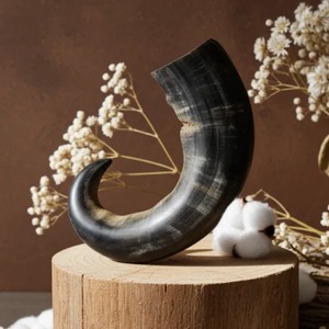 Friandises pour chiens 100% naturelles et écologiques en corne de buffle brute, longue durée, sans céréales, faites à la main, pour animaux FAIZA CRAFT - Product Image 1
