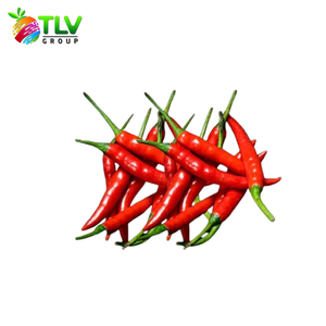 Servicio de Procesamiento ODM de Hierbas Frescas al por Mayor: Albahaca Individual, Especia del Grupo TLV, Ben Tre, Vietnam - Product Image 3