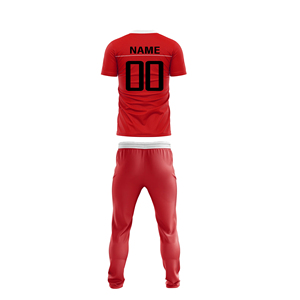 100% Polyester Men's Sports Uniform <b>Cricket</b> T-<b>Shirt</b> Breathable Men <b>Cricket</b> Uniform Made in <b>Pakistan</b> - Product Image 6