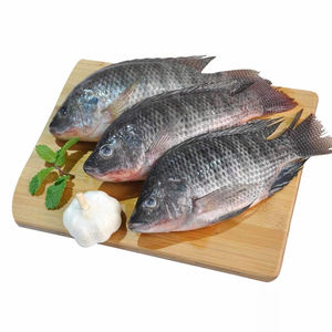 ปลาทิลาเปียแช่แข็งทั้งตัว ปลาทิลาเปียสด สีแดง สีดำ 100% อาหารทะเล - Product Image 1