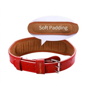 Cinturón de Levantamiento de Pesas de Cuero Resistente con Logotipo Personalizado, Ajustable, Transpirable, Acolchado Suave, Protección Profesional Antideslizante de 6 mm - Product Image 3