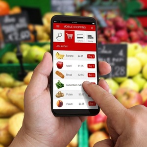 Servicios Expertos de Gestión de Tiendas de Abarrotes, Desarrollo de Negocios de Comercio Electrónico para Supermercados para Máxima Rentabilidad - Product Image 2