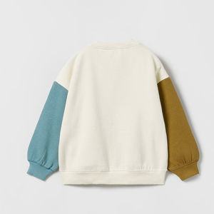 เสื้อสเวตเชิ้ตผู้ชายแบบปรับได้สำหรับฤดูหนาว  ออกแบบสีบล็อกพร้อมโลโก้สั่งทำ  ระบายอากาศได้ดี  ลายปักแบบเรียบ  ผ้าฟลีซโพลีเอสเตอร์/คอตตอน - Product Image 3