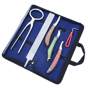Kit complet d'outils de soin des sabots pour chevaux, testeur de douleur des sabots, râpe, couteau à boucle pour l'ablation des abcesses des sabots, en acier inoxydable - Product Image 1