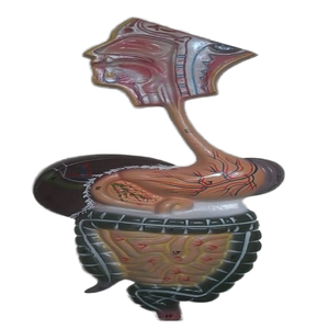 Équipement de test du système digestif humain - Product Image 1