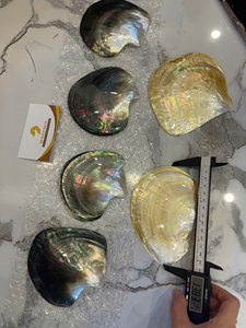 Vietnam Artisan Design Mother of Pearl Plate Shell Nacre Material for Jewelry Holder Serving <b>Display</b> <b>Table</b> - Product Image 5