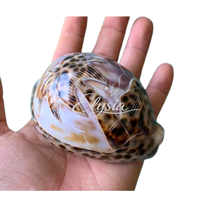 Natural Tiger Cowrie Pig Snail Shell Handmade Carved Artwork <b>Large</b> Seashell Decorative Ornament Coastal Beach Home Decor <b>Gift</b> - Product Image 4