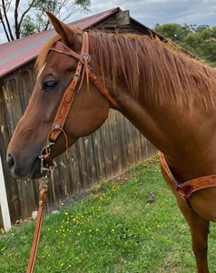 Cabezada y Pechopetral de Cuero para Caballo Western, con Diseño Floral Repujado, Hechos a Mano, para Caballo Full Cob, Precio al por Mayor - Product Image 2