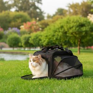 Borsa Trasportino Multifunzionale per Animali Domestici, Design a Capsula Spaziale con Funzioni di Zaino e Tracolla - Product Image 4