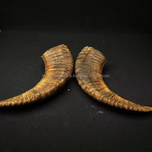 Cornes de Chofar en agate de mouton, finition naturelle, par une entreprise de fabrication - Product Image 1