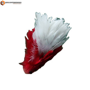 Plumas Decorativas de Primera Calidad, Color y Logotipo Personalizados, Accesorio Ligero para Disfraces y Sombreros - Product Image 1