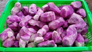 Yam Congelado de Alta Calidad para Supermercados y Servicios de Alimentación - Soporte para Marca Privada OEM - Product Image 5