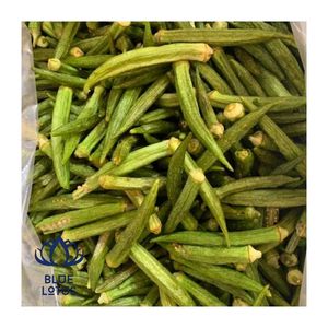พร้อมส่ง ผลไม้อบแห้งแบบสุญญากาศ สะอาด สำหรับเป็นของว่างและส่งออกขายส่ง กรอบและเบา ปี 2026 - Product Image 1