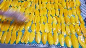 Tranches de mangue séchées et moelleuses, très demandées, pour l'emballage et la distribution de snacks au Vietnam - Product Image 5