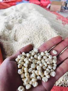 Excelente Opción, Alta Calidad, Precio Económico, Semillas de Maíz Ceroso Orgánicas Secas para Cocina Saludable, Cereales, Industria de Snacks, Exportación a Granel - Product Image 3