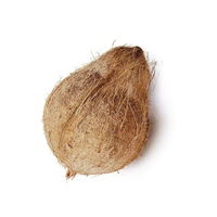 Premium gedroogde kokosnoot, half ontschilde, tropisch landbouwproduct voor export, beste merk kwaliteit
