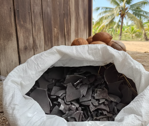 Le charbon de coque de noix de coco offre un contrôle fiable de la chaleur et une énergie durable, provenant de matériaux de coque de noix de coco de haute qualité. - Product Image 4