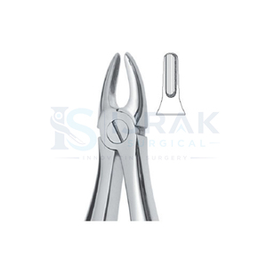 Forceps d'extraction dentaire en acier inoxydable, forceps manuels pour dents, griffes chirurgicales pour usage clinique - Product Image 5