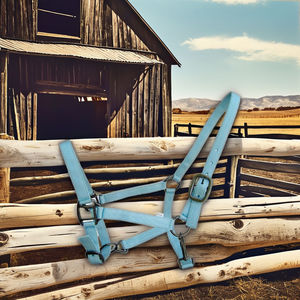 Cabestro de nailon negro con estampado de caballo blanco, equipo ecuestre ajustable, cabezada de cuero para caballo, equipo ecuestre ajustable - Product Image 5