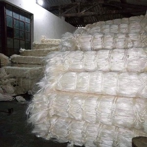 Fibres de sisal 100 % naturelles en gros, offertes pour la production de cordes, la fabrication artisanale, l'agriculture et l'emballage - Product Image 4