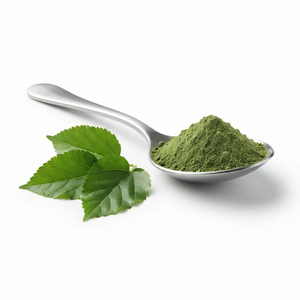 Extracto de Hoja de Morera en Polvo, Extracto de Hoja de Morus alba, Extracto Herbal Botánico Natural, Proveedor y Exportador al por Mayor - Product Image 2