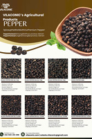 POIVRE NOIR DU VIETNAM 500 G/L FAQ, PROPRE POUR LA VENTE EN GROS, EXPORT À PRIX BAS EN VENTE EN GROS