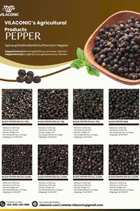 พริกไทยดำเวียดนาม 500 กรัม/ลิตร คำถามที่พบบ่อย คุณภาพดีสำหรับขายส่ง ส่งออก ราคาถูก จำนวนมาก - Product Image 5