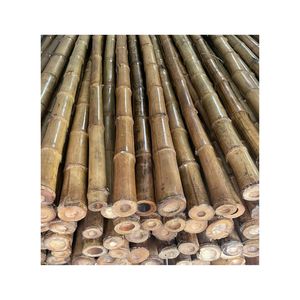 Varas de Bambú Resistentes de Alta Calidad, Marca Hanny, 99GD, de 6-60 mm de Diámetro, Naturales, Amarillas, Sostenibles, para Soporte de Plantas y Decoración de Jardín - Product Image 1