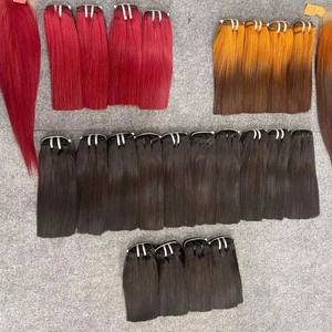 Cheveux naturels bruts, lisses comme des baguettes, en trame, double épaisseur, couleur piano, cheveux humains vietnamiens - Product Image 1