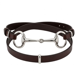 High Quality Brown <b>Elastic</b> Waist <b>Belt</b> with Gold Bit Buckle Casual Cotton Polyester Spandex Strap - Product Image 2