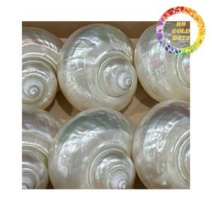 Natural Decorative Polished <b>Abalone</b> <b>Shell</b> for Craft Home Decor and Gift Use - Product Image 1