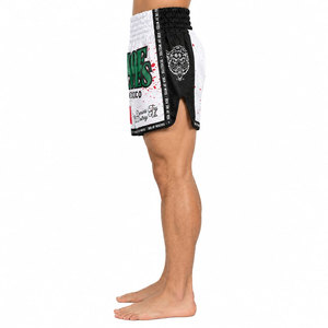 Lightweight Team Usa MMA Fight <b>Shorts</b> <b>Men</b> White <b>Red</b> Black Sublimation Print Mixed Martial Arts Wear Adult Breathable Regular Fit - Product Image 3