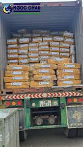 Caucho Natural SVR 3L de Grado Industrial, Origen Vietnamita - Product Image 6