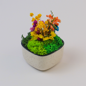 Maceta de Cerámica con Musgo Preservado, Regalo para Oficina, Macetero Ecológico de 2.5(L)x2.5(An)x3(Al) Pulgadas, Cero Mantenimiento, 3 Años de Duración - Product Image 4
